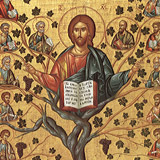 5th Sunday of Easter