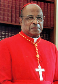 CardinalNapier