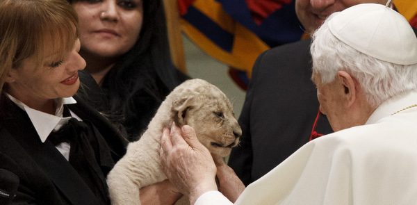 POPE PETS LION CUB DURING AUDIENCE WITH CIRCUS MEMBERS, MUSIC BANDS AT VATICAN