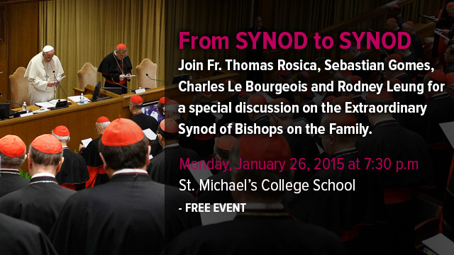 synod_to_synod_blog