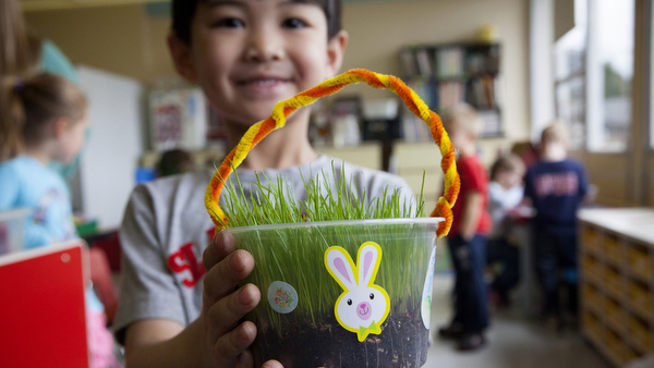 Alaskan preschooler displays grass students grew for their Easter baskets