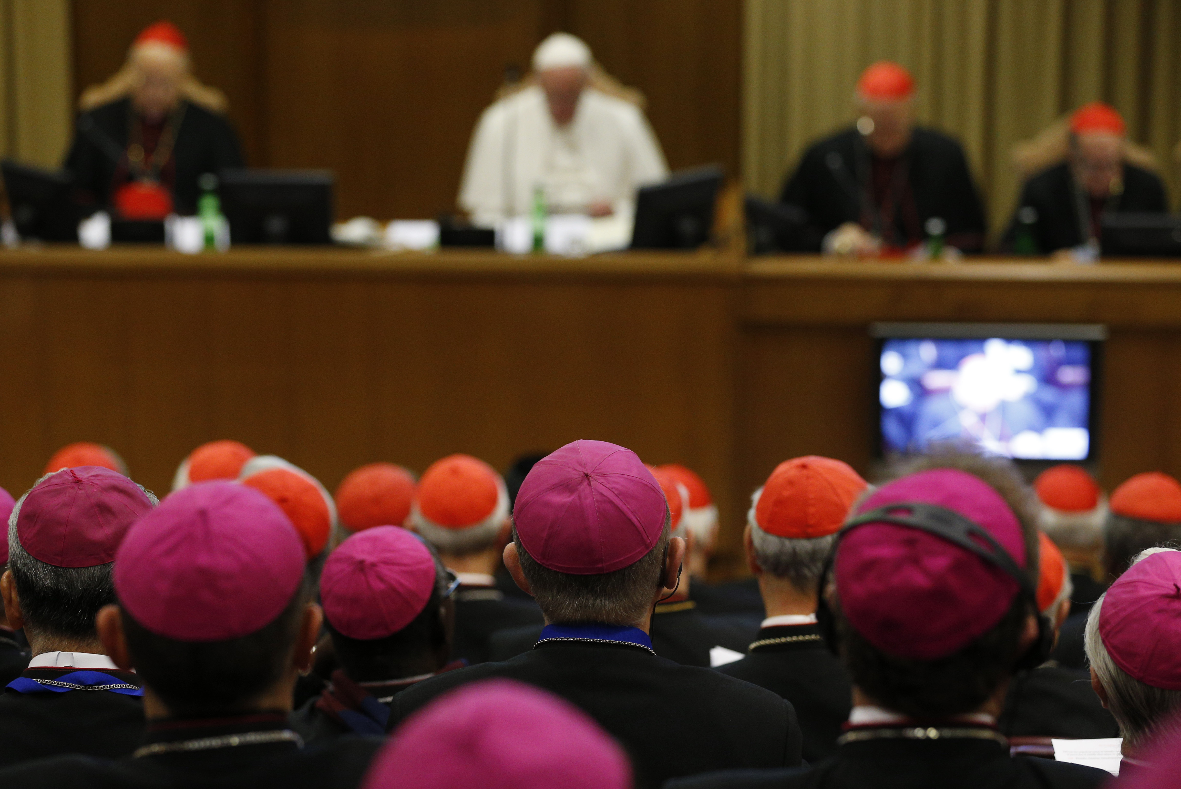Bishops and cardinals attend a session of the Synod of Bishops on the family led by Pope Francis at the Vatican Oct. 23. (CNS photo/Paul Haring) See SYNOD-JUDGE-LISTEN Oct. 23, 2015.