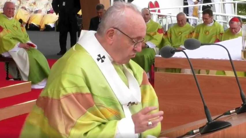 Pope Francis delivers his homily at Mass in Dublin
