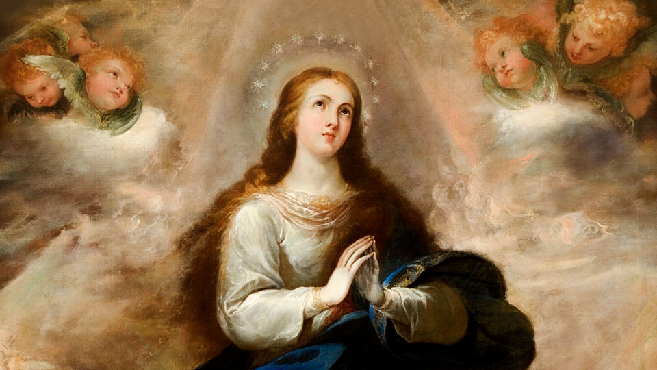 Immaculate Mary, conceived without original sin
