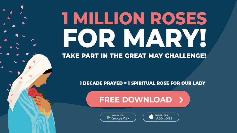 1 Million Roses for Mary