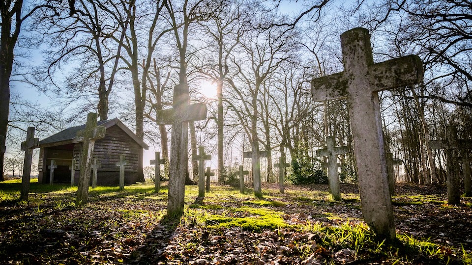 “A Great Teacher of Life” | Pope’s General Audience – December 10, 2025