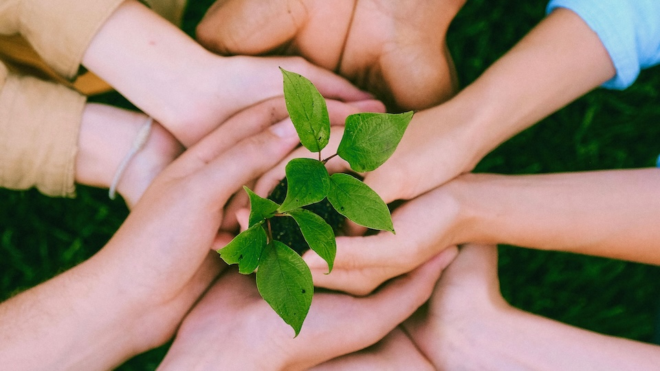 “The Mission of the Laity” | Pope’s General Audience – April 1, 2026