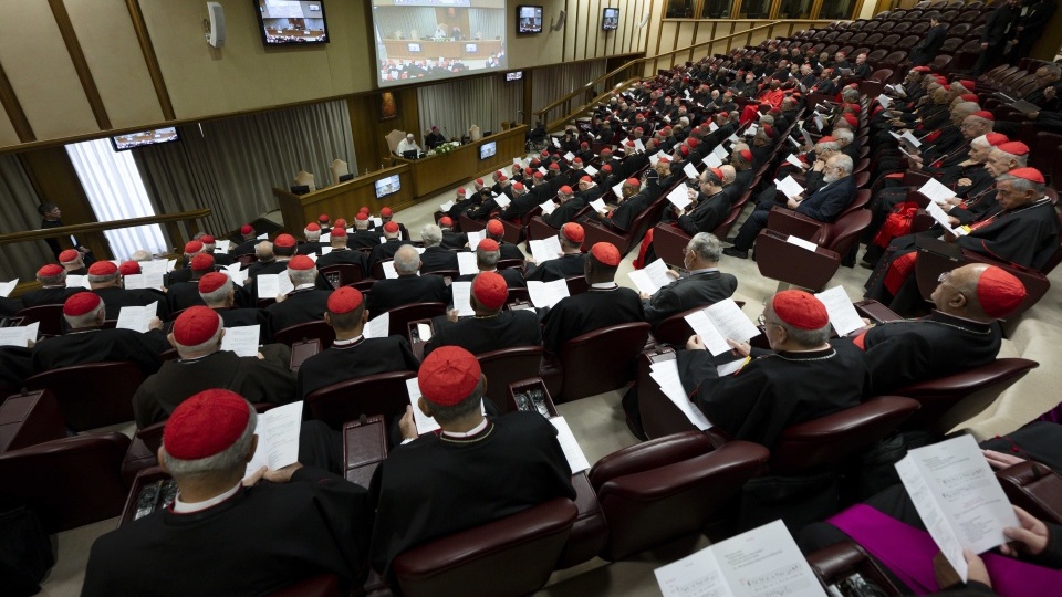 197位樞機和宗主教舉行會議，討論有關教廷改革的宗座憲章