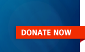 donate now