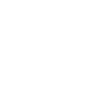 S+L logo