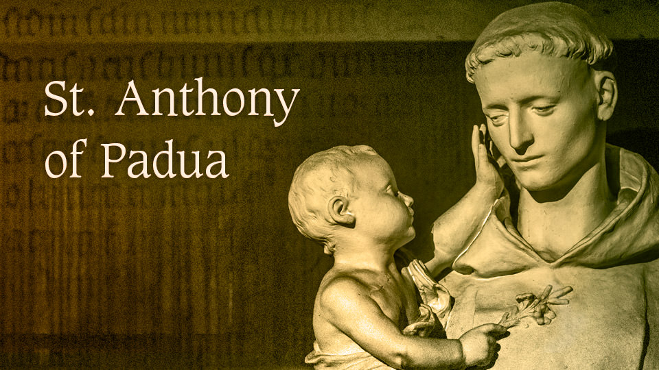 St. Anthony of Padua (1195-1231) | Salt and Light Catholic Media ...